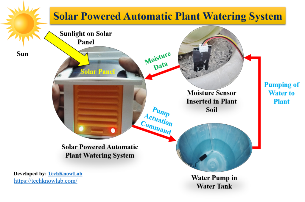 Solar Powered Automatic Plant Watering System